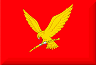 Flag_Timashevsk2